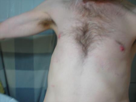 הגדל תמונה של aleish