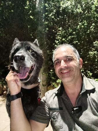 הגדל תמונה של דורון הכריש