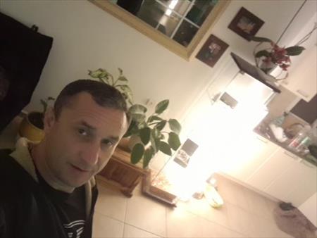 הגדל תמונה של ויטליק
