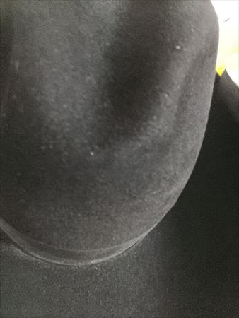 הגדל תמונה של Aviכ