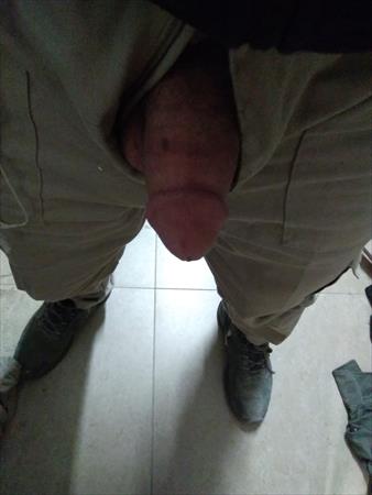 הגדל תמונה של צביי