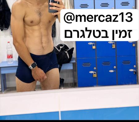 הגדל תמונה של Niv13