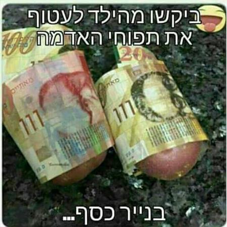 דן9999