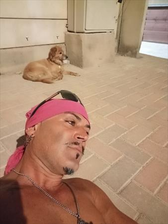 הגדל תמונה של שועלול