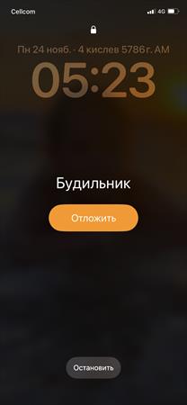 הגדל תמונה של Snikers1986