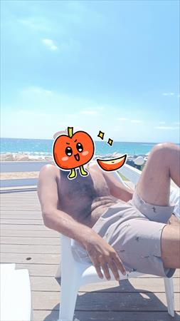 הגדל תמונה של השועל 33