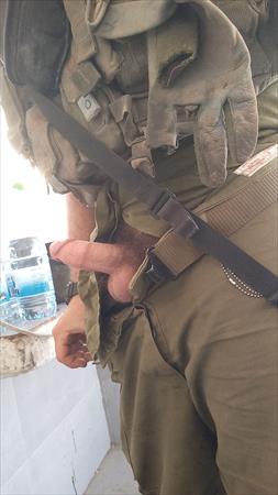 הגדל תמונה של אליה נ
