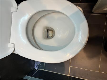 אלברט הזיין