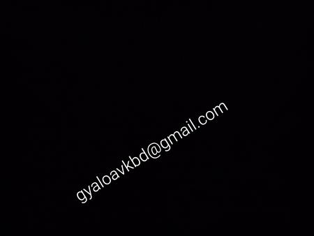 Ggaihb1243