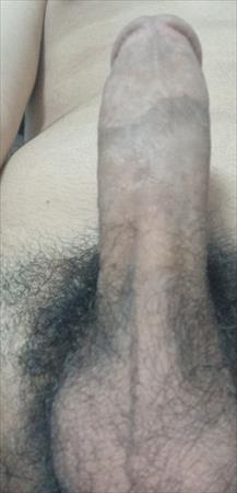 הגדל תמונה של Eli 123