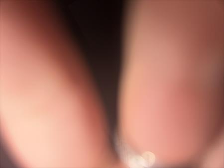 הגדל תמונה של Stella