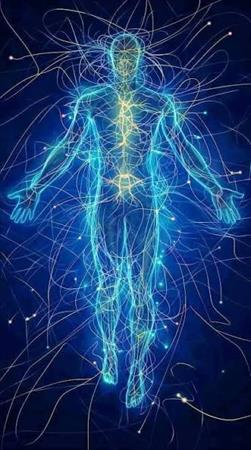 הגדל תמונה של Ninja