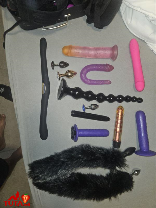 הצעצועים שלי 