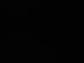 Chh541