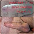 Asaf asaf בטלגרם עם פרפר כחול