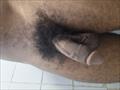 Virboy20