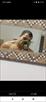 IMG-20240718-WA0000.jpg