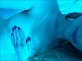 IMG_20230113_122553_659.jpg
