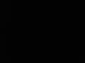 avi sex